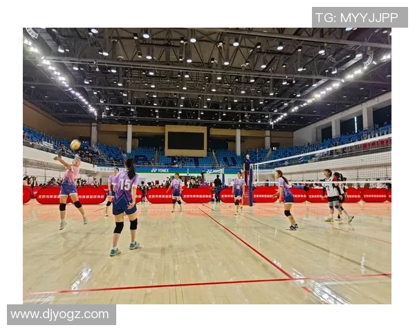 排球耐力排行榜揭晓北京排球队荣登第五名展现强劲实力