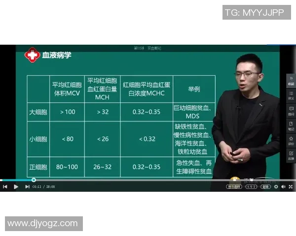 南京排球队速度对比分析揭示团队优势与潜力的深度解读
