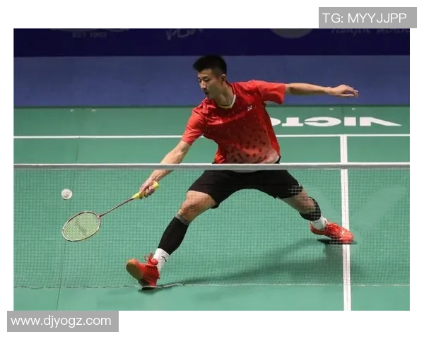 杭州羽毛球队总决赛表现分析意识与战术的完美结合 杭州羽毛球队总决赛表现分析意识与战术的完美结合